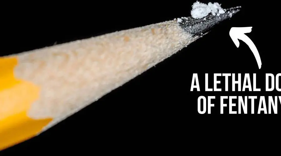 The Dangers of Fentanyl: An Opioid Epidemic Sweeping the Nation The Dangers of Fentanyl: An Opioid Epidemic Sweeping the Nation